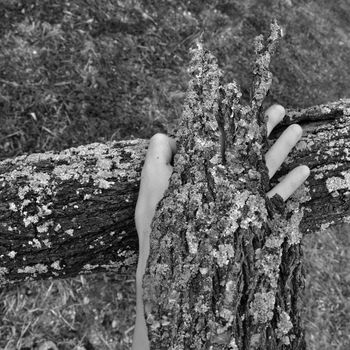 Bark peel covered hand and tree trunk with fungus texture. Black and white.