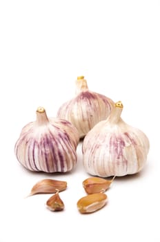 garlic and garlic heads on a white background