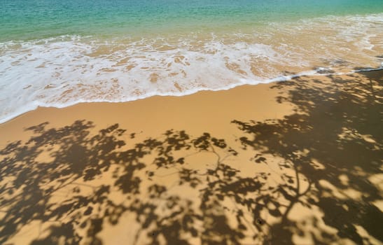 Nice beach with sea foam background