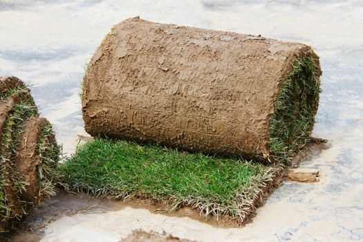 Turf grass rolls partially unrolled close up