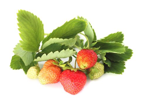 Strawberry with leaves isolated on white background