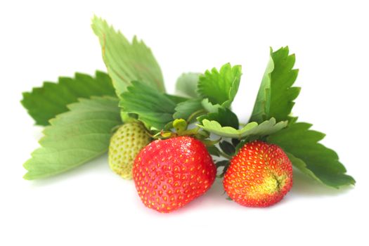 Strawberry with leaves isolated on white background