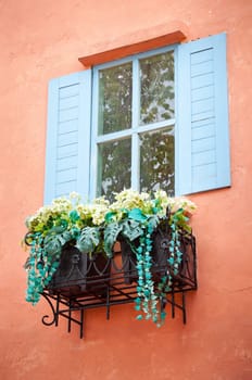 close-up window and flower in red wall
