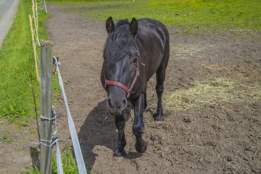 The image is shot at a farm in Aremark municipality that borders to Halden municipality, Norway
