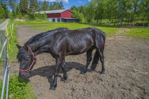 The image is shot at a farm in Aremark municipality that borders to Halden municipality, Norway