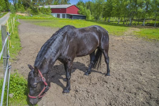 The image is shot at a farm in Aremark municipality that borders to Halden municipality, Norway.