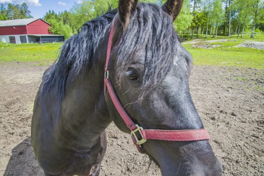 The image is shot at a farm in Aremark municipality that borders to Halden municipality, Norway