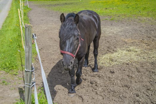 The image is shot at a farm in Aremark municipality that borders to Halden municipality, Norway