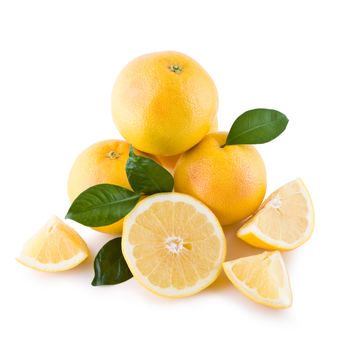 Juicy white grapefruits isolated on white