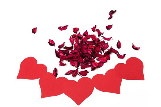flower petals with hearts on a white background