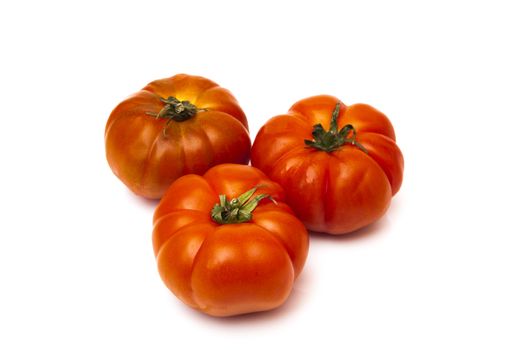 red tomatoes on a white background