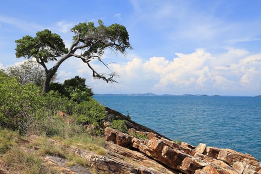 sland Koh Samet in Thailand