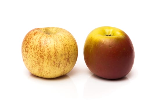 blocks of color on a white background