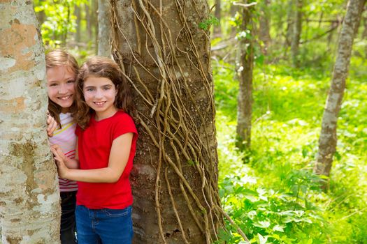 children sister friends playing in tree trunks at the jungle park forest outdoor