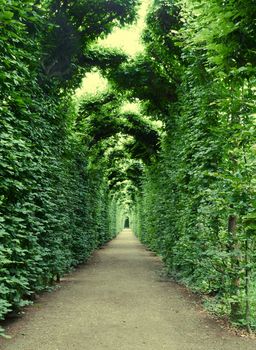 Arch, decorated with plants in Schonbrunn garden, Vienna