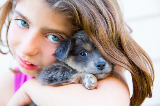 girl hug a little puppy dog gray hairy chihuahua doggy
