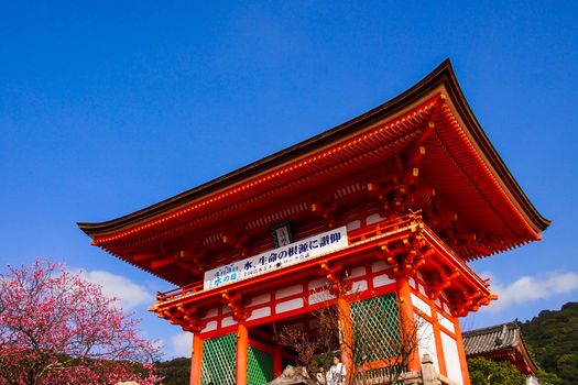 Wooden temple