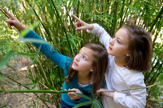 sister twin girls playing in nature pointing finger from green canes