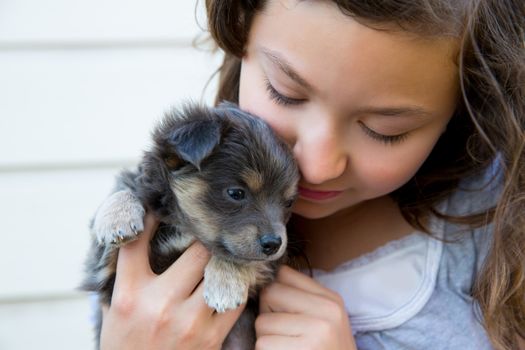 girl hug a little puppy dog gray hairy chihuahua doggy