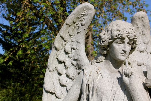 A pensive stone angel at Forest Lawn Cemetery, Buffalo, New York, USA