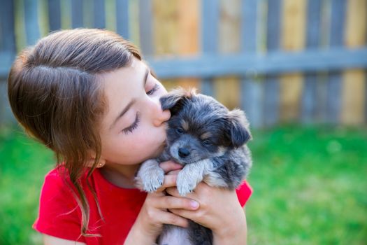 children girl kissing her puppy chihuahua doggy on the wood fence