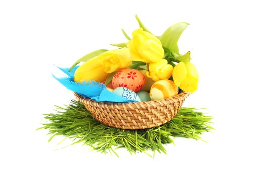 Basket of colored easter eggs and tulips on white background