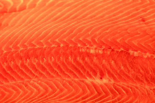 Salmon red fish texture closeup background