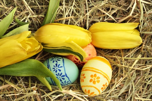Colored easter eggs and yellow  tulips on hay