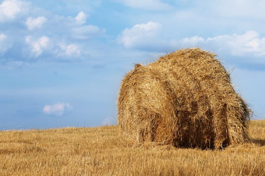 Haystacks in wheat field after harvest under blue cloudy sky