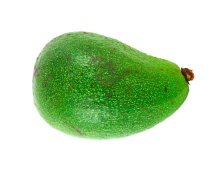 One avocado isolated on white background
