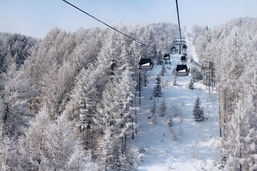 Chair lift between beautiful firs in winter mountains forest