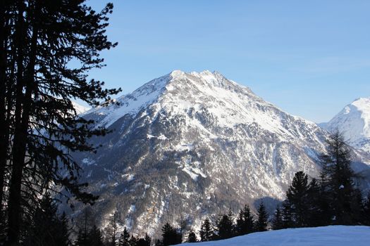 Beautiful alpine landscape with forest and high mountains