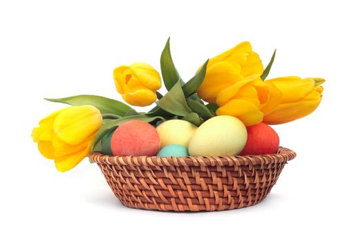 Colorful easter eggs in basket and tulips isolated on white