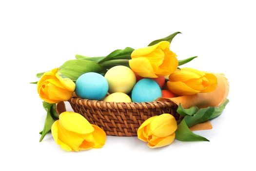 Colorful easter eggs in basket and tulips isolated on white