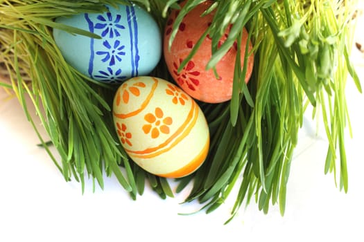 Easter eggs in green spring grass on white background