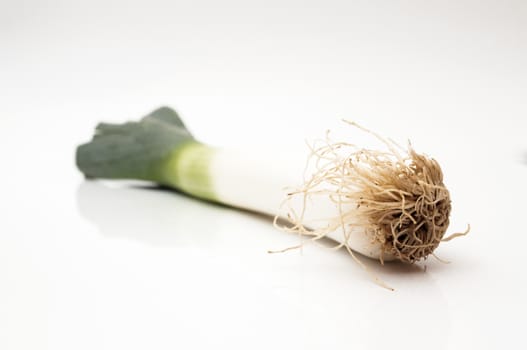 Large onion on a white background
