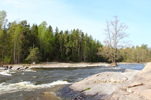 River in forest in Langinkoski Finland