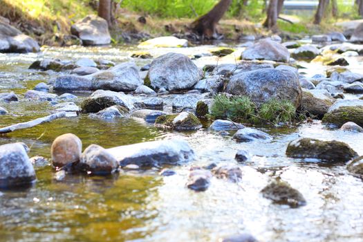 Calm river with stones in forest