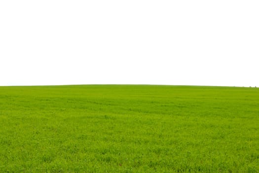 Green flat field with white copy space under the horizon