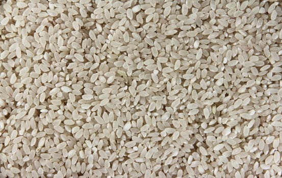 White rice background close up