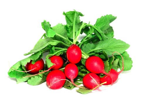 Fresh radish isolated on white background