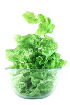  Light lettuce salad in transparent bowl isolated on white lightness concept