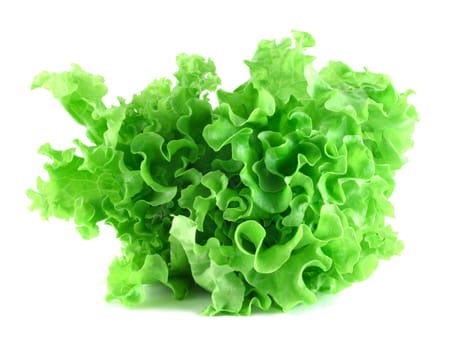 Fresh lettuce salad isolated on white background