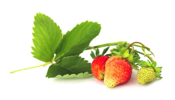 Strawberry with leaves isolated on white background