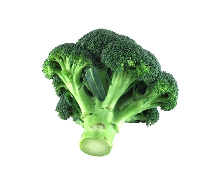 Fresh broccoli isolated on white background