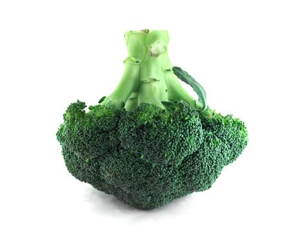 Fresh broccoli isolated on white background