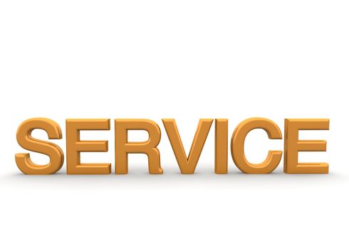 Service is available in many variants in the professional world.
