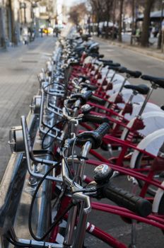 bikes lined up to rent them