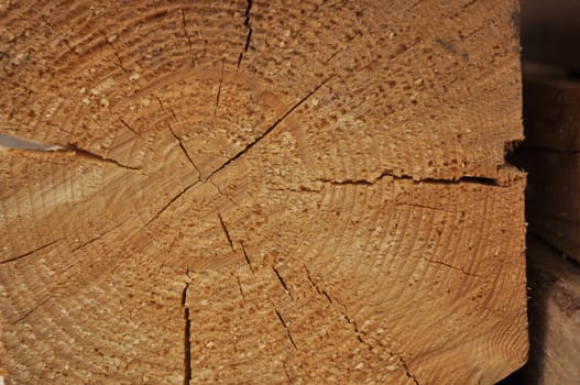 The pattern of cross-spila wooden beams. Annual rings and radial cracks.