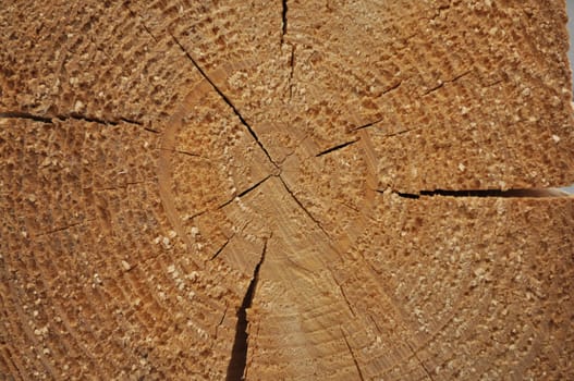 The pattern of cross-spila wooden beams. Annual rings and radial cracks.